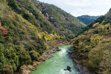 Japonya, Kyoto 'da kiraz çiçekleri. Hozugawa Nehri, Hozu Boğazı.