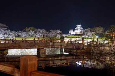 Himeji Şatosu geceleri çiçek açan kiraz çiçekleriyle aydınlanıyordu. Hyogo, Japonya.