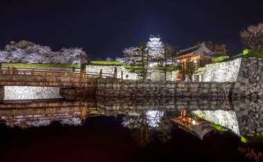 Himeji Şatosu geceleri çiçek açan kiraz çiçekleriyle aydınlanıyordu. Hyogo, Japonya.