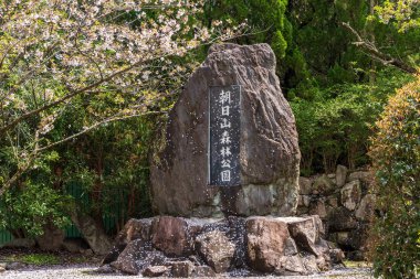 Mitoyo, Kagawa, Japonya - 9 Nisan 2024: Asahiyama Shinrin Park Anıtı (Mt. Asahi Orman Parkı). Shikoku adasında kiraz çiçekleri açar..