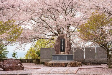 Mitoyo, Kagawa, Japonya - 9 Nisan 2024: Asahiyama Shinrin Park Anıtı (Mt. Asahi Orman Parkı). Shikoku adasında kiraz çiçekleri açar..