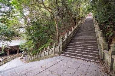 Konpira Tapınağı (diğer adıyla Konpira-san veya Kotohira-Gu) taş basamaklar. İlkbaharda kiraz çiçekleri açar. Kotohira, Kagawa, Japonya.