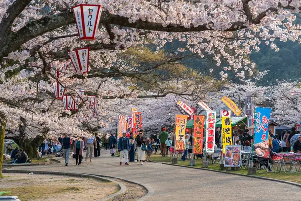 stock image Yamaguchi Prefecture, Japan - April 5 2024 : People enjoy cherry blossoms along the Nishiki River bank. Iwakuni Kintai Bridge Sakura festival.
