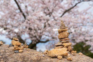 Miyajima Adası 'nda ilkbaharda kiraz çiçekleriyle taşları dengelemek. Taş yığını, taş yığını, taş kulesi. Zen 'in ruhu. Hiroşima, Japonya.