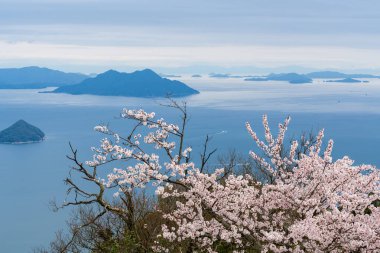 Seto İç Denizi adaları. İlkbaharda kiraz çiçekleri açar. Misen Dağı, Itsukushima Adası, Hiroşima, Japonya.
