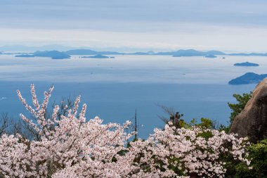 Seto İç Denizi adaları. İlkbaharda kiraz çiçekleri açar. Misen Dağı, Itsukushima Adası, Hiroşima, Japonya.