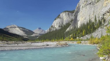 Canadian Rockies Jasper Ulusal Parkı büyüleyici doğa manzarası. Athabasca Nehri, sonbaharda Rocky Dağları. Alberta, Kanada.