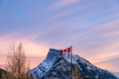 Kanada Ulusal Bayrağı 'nı kapatın. Arka planda Rundle Dağı ve kurumuş ağaçlar. Banff Ulusal Parkı, Kanada Kayalıkları, Kanada.