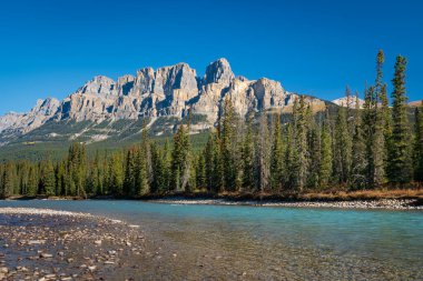 Yazın güneşli bir günde Castle Mountain ve Bow River. Castle Dağı bakış açısı. Banff Ulusal Parkı, Kanada Kayalıkları, Alberta, Kanada.