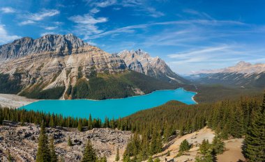 Peyto Gölü manzarası yazın. Banff Ulusal Parkı, Kanada Kayalıkları, Alberta, Kanada.
