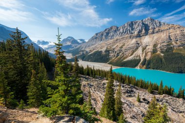 Peyto Gölü yaz mevsiminde. Banff Ulusal Parkı, Kanada Kayalıkları, Alberta, Kanada.