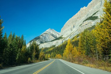 Sonbaharda Icefields Parkway 'de araba kullanmak. Alberta Otoyolu 93. Jasper Ulusal Parkı, Kanada.