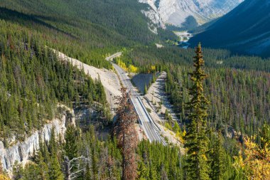 Sonbaharda Jasper ve Banff Ulusal Parkı arasındaki buzul tarlalarındaki Big Bend bakış açısı ve Büyük Tepe, Alberta, Kanada.