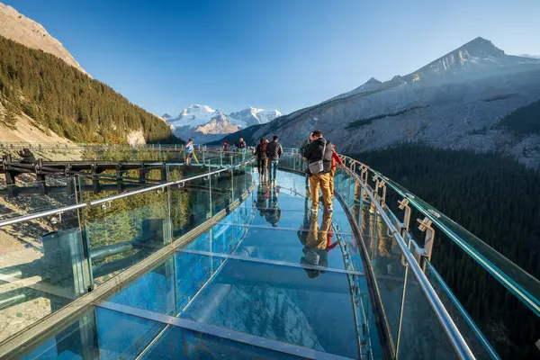 stock image Jasper National Park, AB, Canada - SEP 27 2021 : Columbia Icefield Skywalk. Tourists standing on glass floored observation deck. Snow-covered Rocky Mountains in the background.