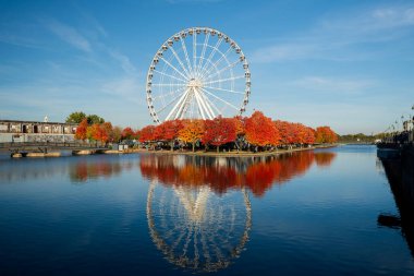 Montreal, Quebec, Kanada - 11 Ekim 2022: Montreal Eski Limanı sonbahar yeşillik mevsimi. St. Lawrence nehrinde kırmızı akçaağaç yansıması. La Grande Roue de Montreal Dönme dolabı.