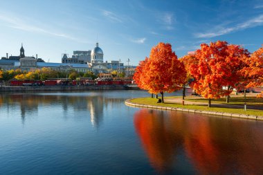 Sonbaharda Montreal Limanı 'nda. Kırmızı akçaağaçlar ve eski Montreal silueti St. Lawrence Nehri 'ne yansıdı. Montreal, Quebec, Kanada 'da sonbahar mevsimi.