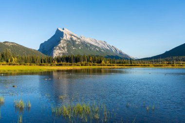 Vermilion Gölleri ve Mount Rundle sonbahar yeşillik manzarası gün batımında. Banff Ulusal Parkı, Canadian Rockies, Alberta, Kanada. Renkli ağaçlar ve su bitkileri Sarı, turuncu, altın rengi.