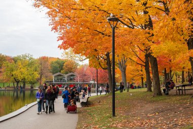 Montreal, Quebec, Kanada - 16 Ekim 2022: Beaver Lake, Mount Royal Park (Parc du Mont-Royal) sonbaharda. İnsanlar parkta dinleniyor ve kırmızı akçaağaçlarının tadını çıkarıyorlar..