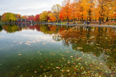 Montreal, Quebec, Kanada - 16 Ekim 2022: Beaver Lake, Mount Royal Park (Parc du Mont-Royal) sonbaharda. İnsanlar parkta dinleniyor ve kırmızı akçaağaçlarının tadını çıkarıyorlar..