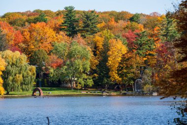 Lac du Moulin (Moulin Gölü), Parc national du Mont-Saint-Bruno (Mont-Saint-Bruno Ulusal Parkı), sonbaharda akçaağaçlar kırmızı, sarı ve turuncu renge dönüşür. Saint-Bruno-de-Montarville, Quebec, Kanada.