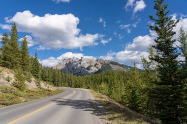 Yaz mevsiminde ormanda dağ yolu. Minnewanka Gölü manzaralı sürüş döngüsü. Banff Ulusal Parkı, Kanada Kayalıkları, Alberta, Kanada.