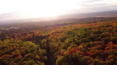 Renkli sonbahar ormanlarının havadan görünüşü. Mont-Saint-Bruno Ulusal Parkı, Saint-Bruno-de-Montarville, Quebec, Kanada.