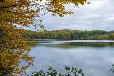 Sonbahar yaprakları Moulin Gölü 'ne (Lac du Moulin) yansımıştır. Mont-Saint-Bruno Ulusal Parkı, Saint-Bruno-de-Montarville, Quebec, Kanada. Sonbahar yaprağı rengi