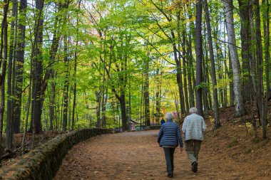 İnsanlar sonbahar orman yolunda yürüyorlar. Mont-Saint-Bruno Ulusal Parkı. Saint-Bruno-de-Montarville, Quebec, Kanada.