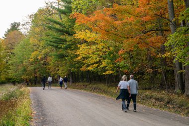 İnsanlar sonbahar orman yolunda yürüyorlar. Mont-Saint-Bruno Ulusal Parkı. Saint-Bruno-de-Montarville, Quebec, Kanada.