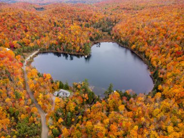 Sonbahar ormanıyla çevrili kalp şeklindeki göl manzarası. Dünya günü kavramı, aşk, çevre, ekoloji. Baker Pond, Bolton-Est, Quebec, Kanada.
