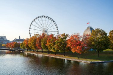 Sonbaharda Montreal Limanı 'nda. Kırmızı akçaağaçlar ve eski Montreal silueti St. Lawrence Nehri 'ne yansıdı. Montreal, Quebec, Kanada 'da sonbahar mevsimi. La Grande Roue de Montreal Dönme dolabı.