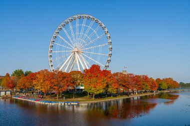 Montreal, Quebec, Kanada - 8 Ekim 2021: Montreal Eski Limanı Sonbaharda. La Grande Roue de Montreal dönme dolap ve kırmızı akçaağaç St. Lawrence Nehri 'ne yansıyor..