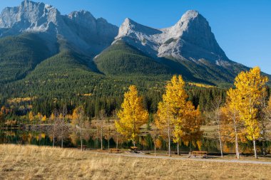 Kanada 'nın Quarry Gölü, Canmore, Alberta, Kanada' daki Kanada Kayalık Sonbahar manzarası. Sarı yapraklar orman, görkemli dağlar ve mavi gökyüzü..