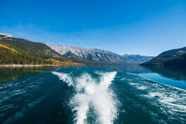 Sonbaharda Minnewanka Gölü gezisi. Banff Ulusal Parkı, Alberta, Kanada. Kanada Dağları heybetli dağlar, mavi gökyüzüne karşı sarı yeşil renkli ormanlar.