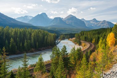 Banff Ulusal Parkı Bow Nehri sonbahar manzarası. Alberta, Kanada. Görkemli dağlar, mavi gökyüzüne karşı sarı ve yeşil renkli ormanlar. Kanada Kayalıkları güzel doğal manzara.
