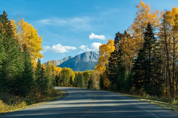 Sonbahar renk ormanlarında mavi gökyüzüne karşı manzaralı kır yolu. Bow Valley Parkway (Highway 1A), Banff National Park, Alberta, Kanada. Kanada Kayalıkları güzel doğal manzara.