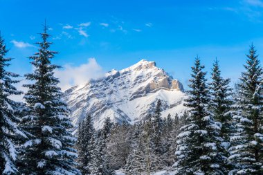 Karla kaplı Şelale Dağı 'nı mavi gökyüzü üzerinde karlı ormanla ve güneşli kış günlerinde beyaz bulutlarla kapatın. Banff Ulusal Parkı. Güzel manzara. Kanada Kayalıkları, Alberta, Kanada.