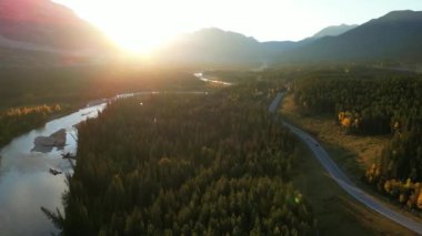 Sonbahar sabahı ormanın içindeki nehir boyunca yol manzarası. Bow River ve Three Sisters Parkway (742). Canmore, Alberta, Kanada.