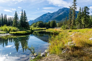 Bow River Patikası yaz mevsiminde. Arka planda Norquay Dağı var. Banff Ulusal Parkı 'ndaki güzel doğa manzarası, Kanada Rocky Dağları, Alberta, Kanada.