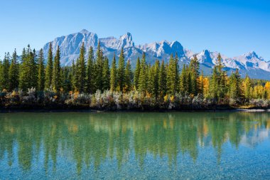 Kanada Kayalıkları sonbahar manzarası. Rundle Dağı sıradağları ve ağaçlar Bow Nehri 'ne yansıyor. Canmore, Alberta, Kanada.