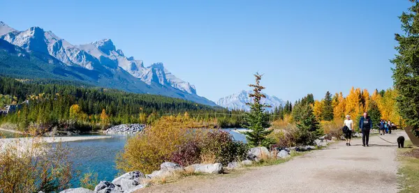 Canmore, Alberta, Kanada - Ekim 12022: İnsanlar sonbaharda Bow Nehri nehir kenarı patikası boyunca yürüyorlar. Plante Yolu Çalıştır.