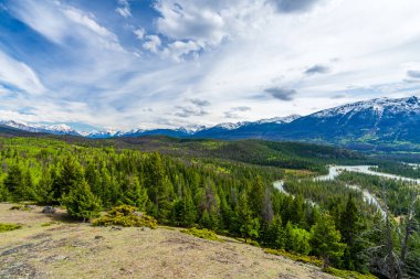Jasper Ulusal Parkı Kanada Kayalık Dağları doğa manzarası. Alberta, Kanada. Athabasca Nehri ormanları ve yazın karla kaplı dağlar. Eski Fort Point 'ten Görünüm.