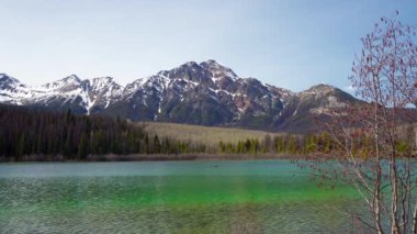 Patricia Lake. Jasper Ulusal Parkı manzarası. Kanada Rocky Dağları doğa manzarası arka planı. Alberta, Kanada.