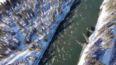 Kışın Bow River Vadisi ormanının hava manzarası. Karla kaplı Kanada Dağları sıradağları çok güzel bir manzara. Canmore, Alberta, Kanada.