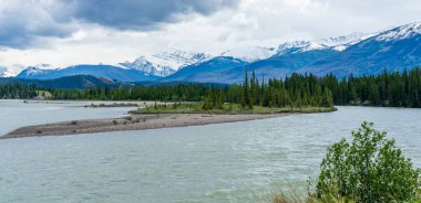 Jasper Ulusal Parkı yaz manzarası. Athabasca Nehri, arka planda karla kaplı dağlar. Alberta, Kanada. Kanada Kayalıkları.