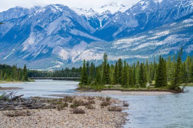 Jasper Ulusal Parkı yaz manzarası. Athabasca Nehri, arka planda karla kaplı dağlar. Alberta, Kanada. Kanada Kayalıkları.