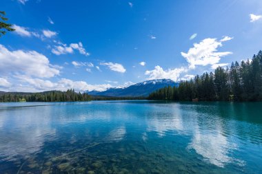 Jasper Ulusal Parkı yaz manzarası, Alberta, Kanada. Beauvert Gölü Lakeside (Lac Beauvert), arka planda Whistlers Tepesi Dağı karla kaplı.