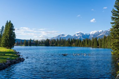 Jasper Ulusal Parkı yaz manzarası. Beauvert Gölü (Lac Beauvert), Jasper, Alberta, Kanada.