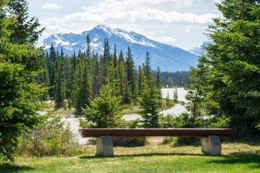 Jasper Ulusal Parkı yaz manzarası. Athabasca Nehri kıyısındaki ahşap banka. Alberta, Kanada. Kanada Kayalıkları. Arka planda Kerkeslin Dağı ve Hardisty Dağı.