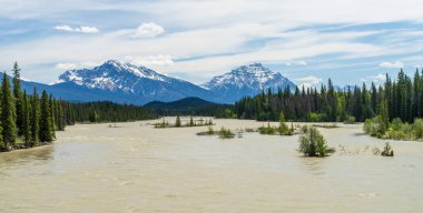 Jasper National Park Athabasca River summer landscape. Alberta, Canada. Canadian Rockies. Mount Kerkeslin and Mount Hardisty in the background. clipart